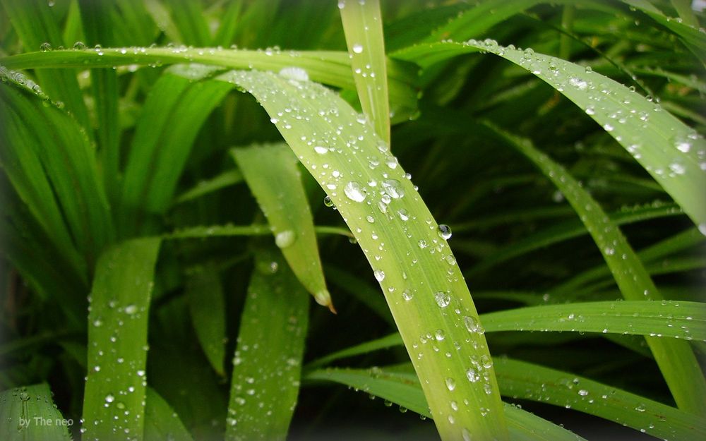 Итоги года: достижения и планы на будущее